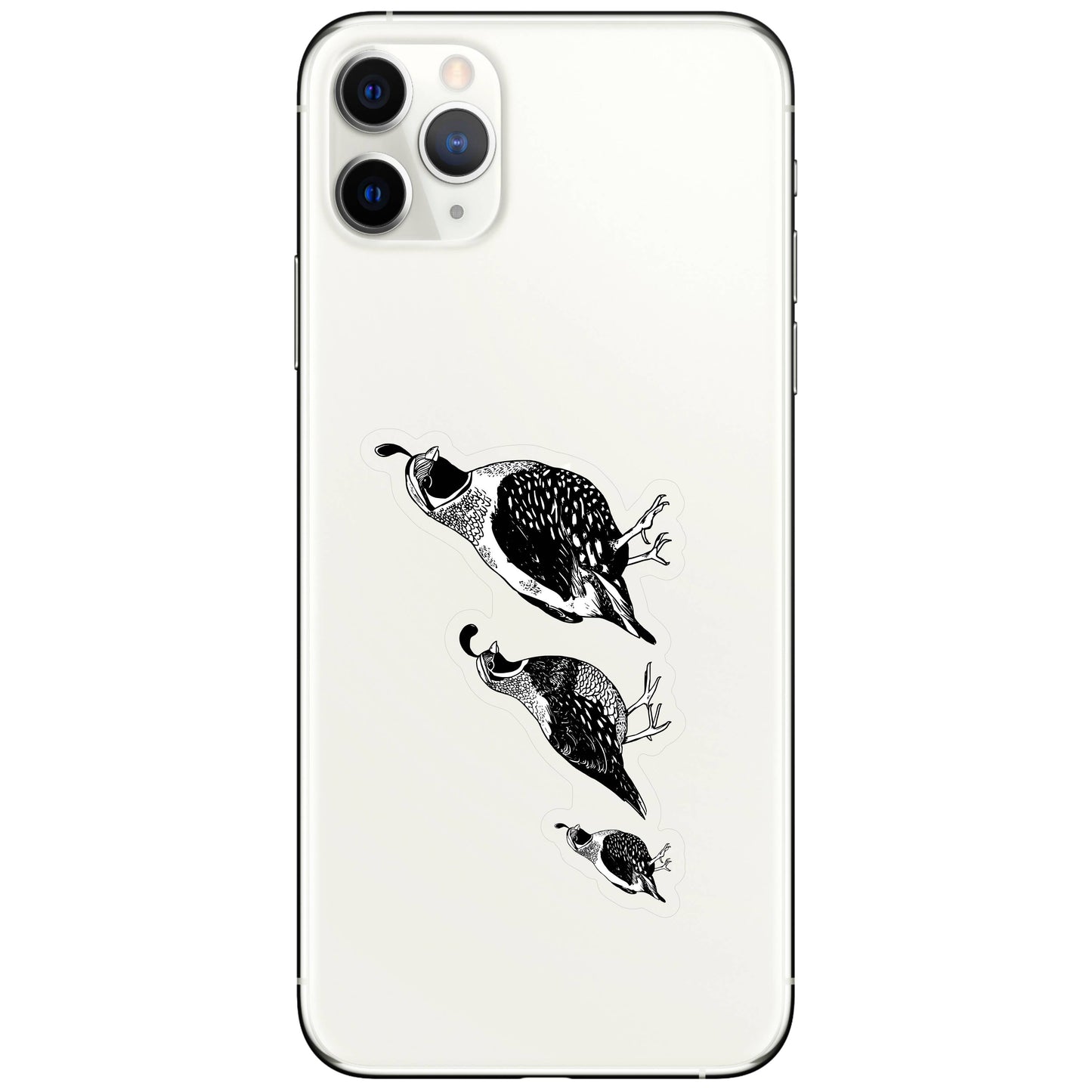 Quail Bird Desert Cute High Quality Clear Vinyl Sticker