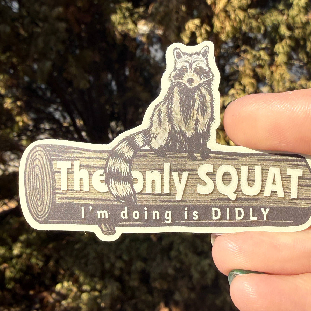 The Only Squat I’m Doing Is Didly Raccoon Sticker