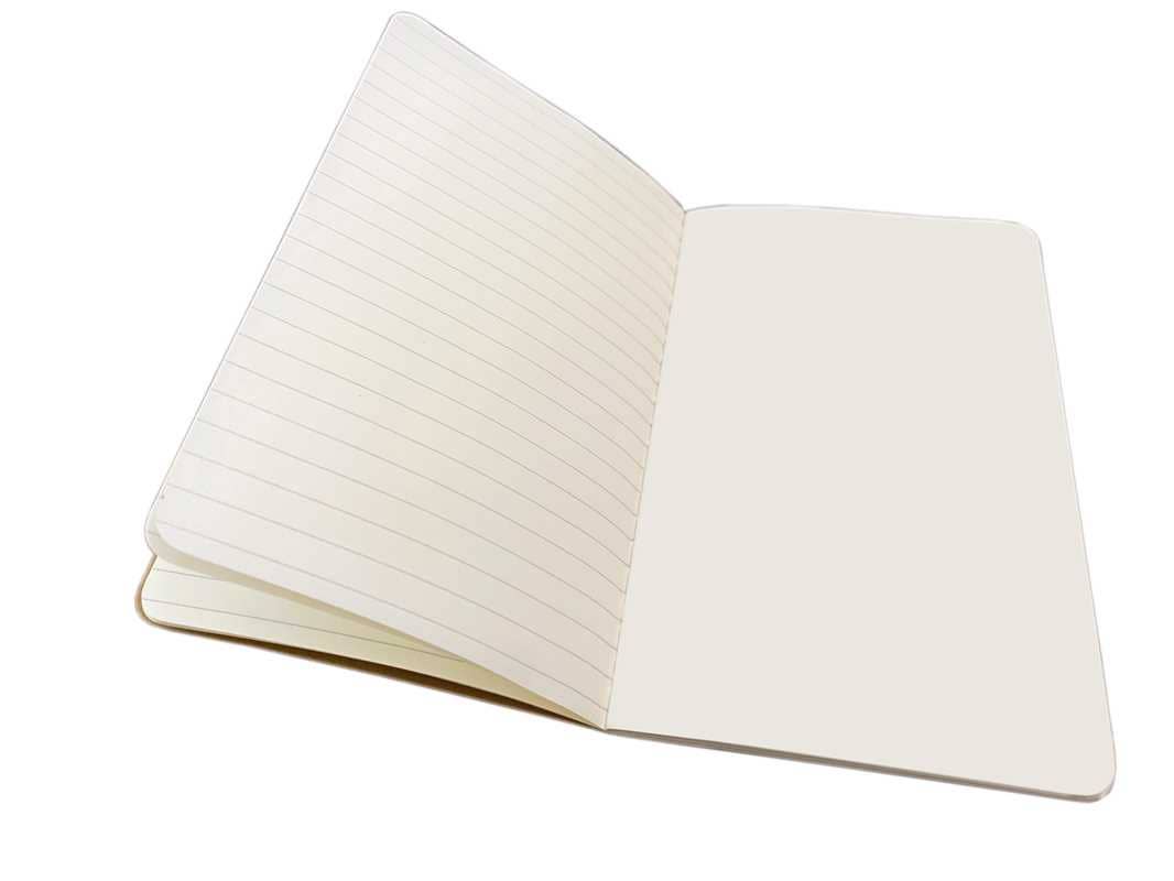 Ashmolean Museum Set of 3 Mini Notebooks