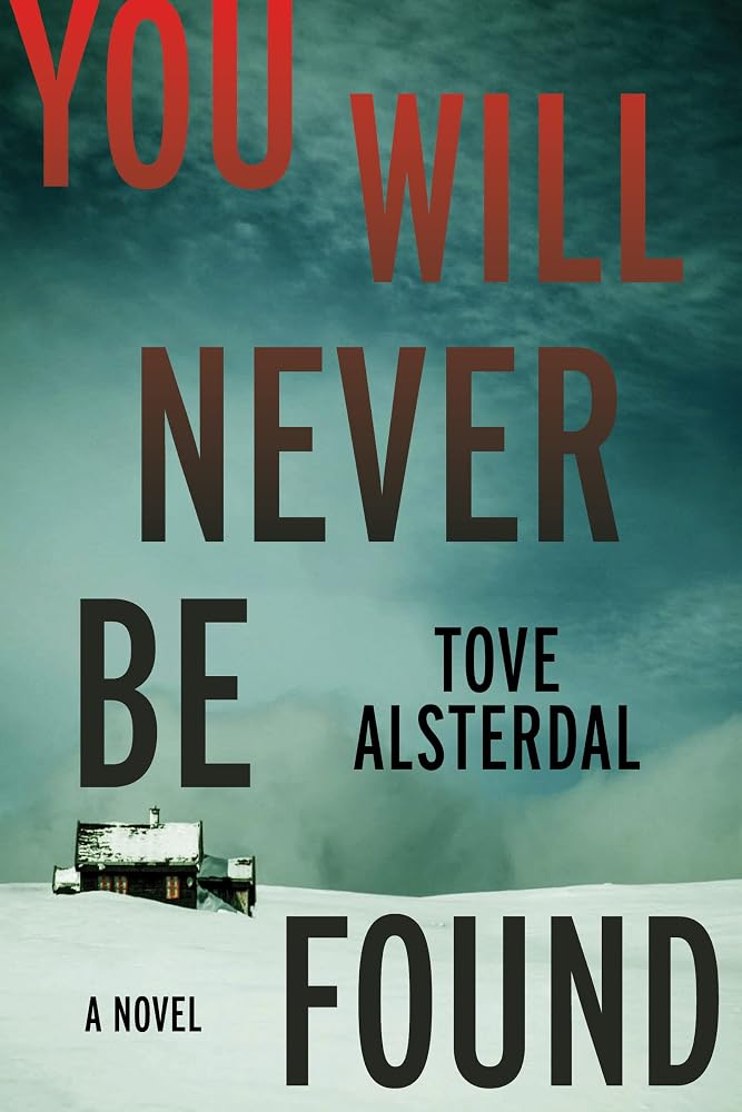 You Will Never Be Found: A Gripping Nordic Noir of Vanished Lives, Dark Memories, and a Town Where the Past Still Hunts – The High Coast Series Book 2 cover image