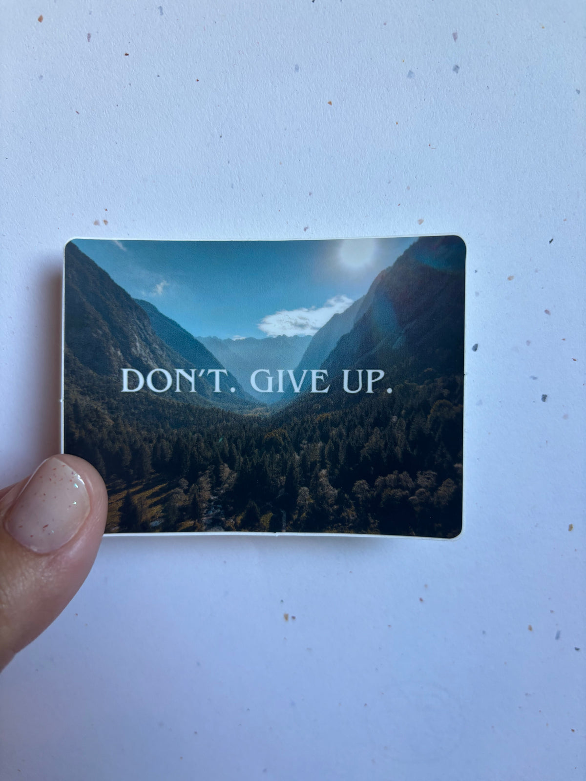 ANA Don't. Give Up.