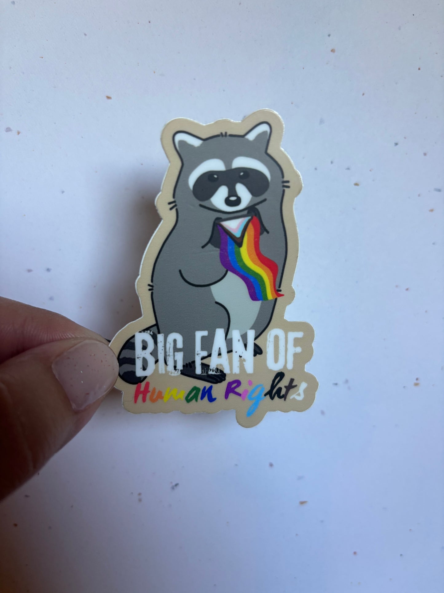 ANA Raccoon Rights Sticker