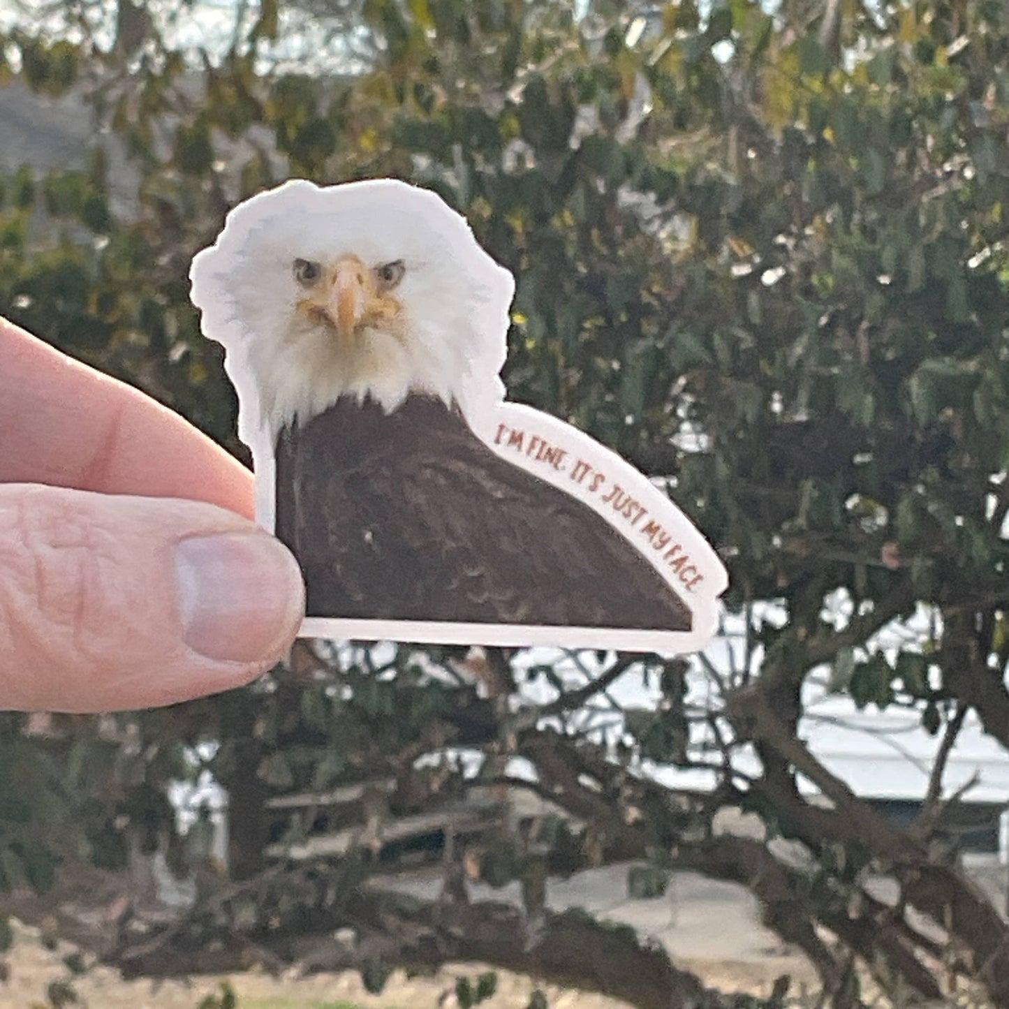 I'm Fine, It's Just My Face Eagle Funny 3" Vinyl Sticker
