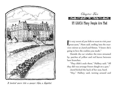 Lucinda's Secret by Tony DiTerlizzi