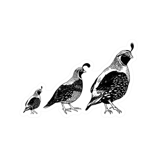 Quail Bird Desert Cute High Quality Clear Vinyl Sticker