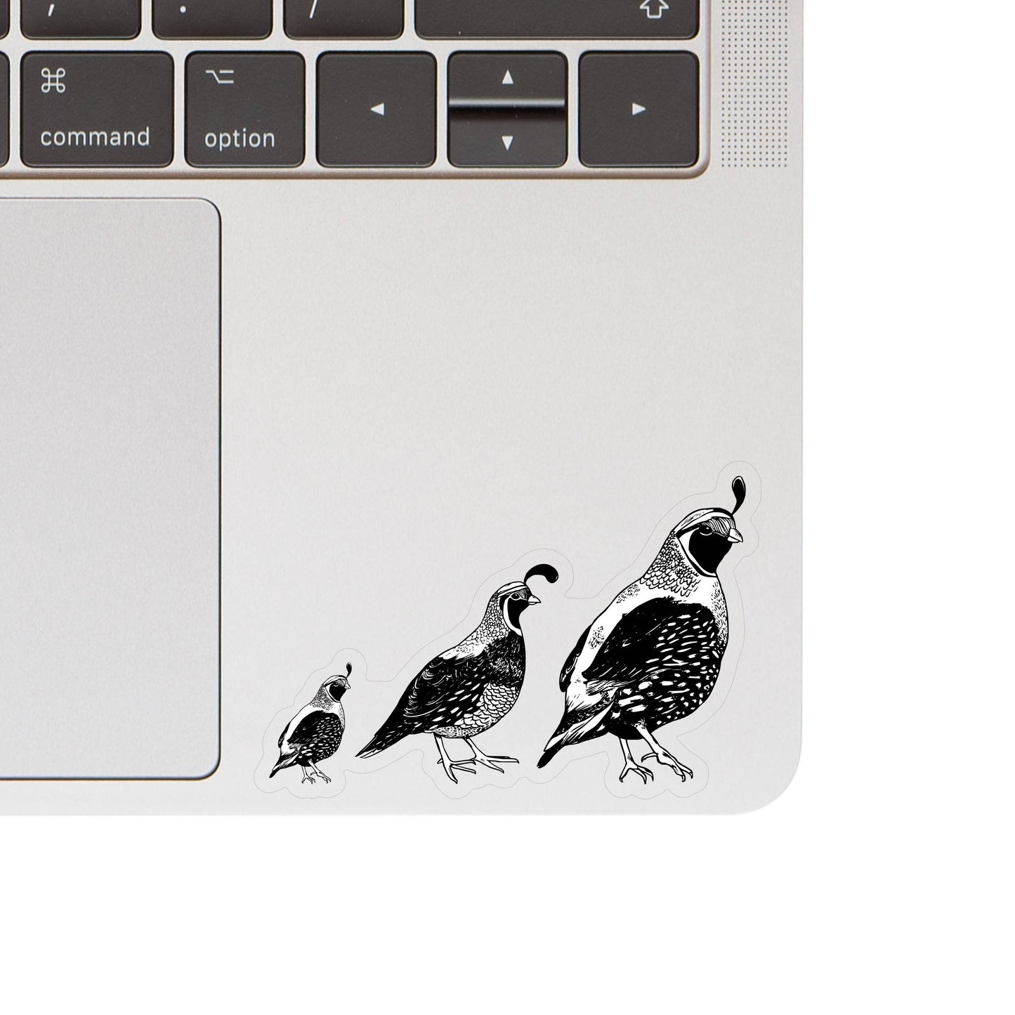 Quail Bird Desert Cute High Quality Clear Vinyl Sticker