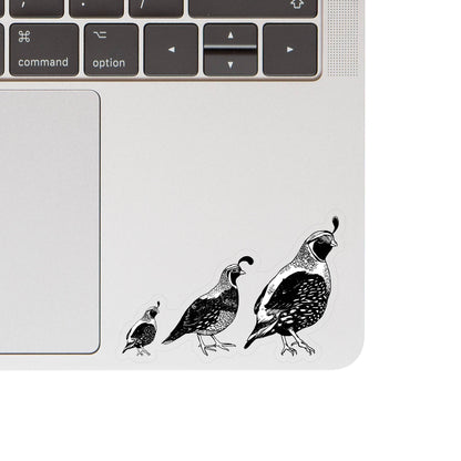 Quail Bird Desert Cute High Quality Clear Vinyl Sticker