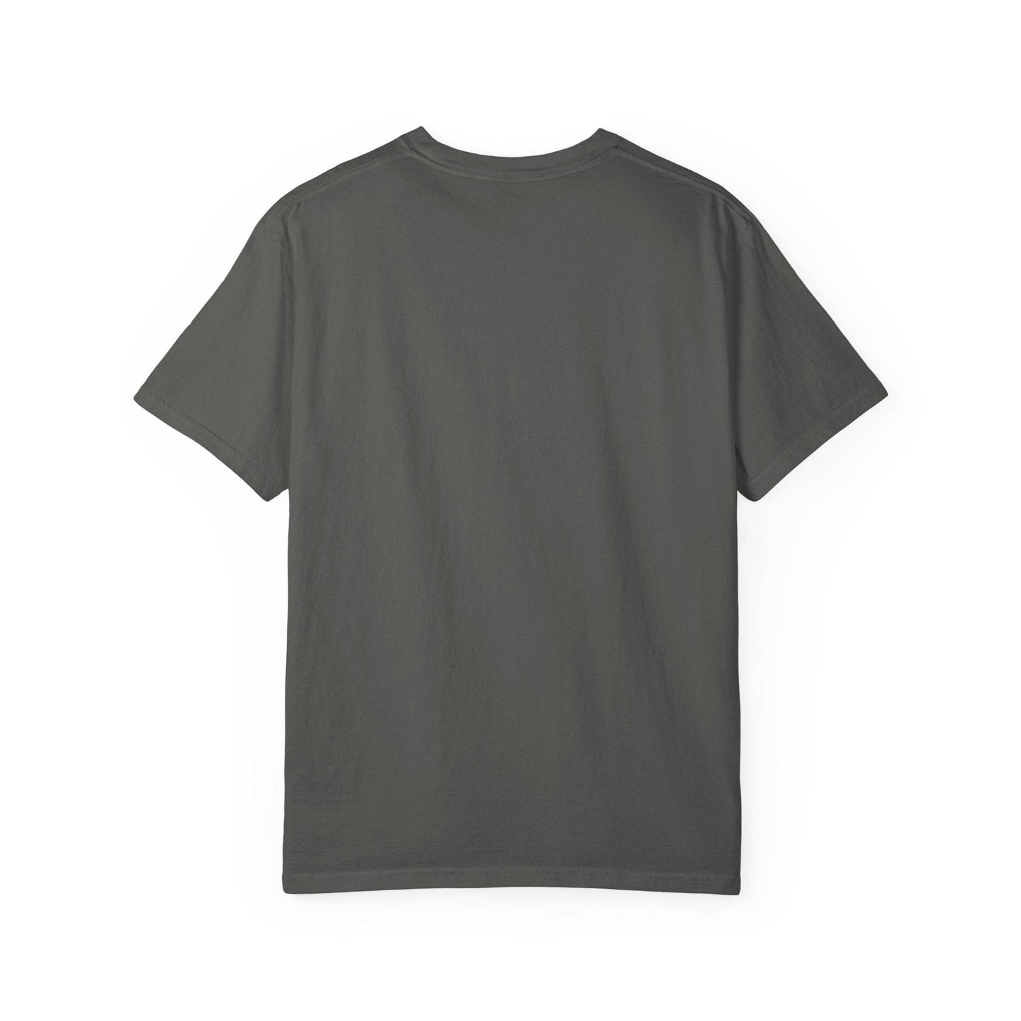 Dramione Edgy Bookish Tshirt, Fan Fic Reader Merch, Fantasy Book Lover Gift