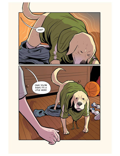 The Invasion (Animorphs)