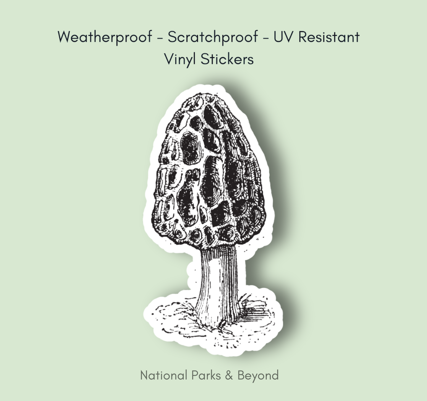 Morel Mushroom Vinyl Sticker