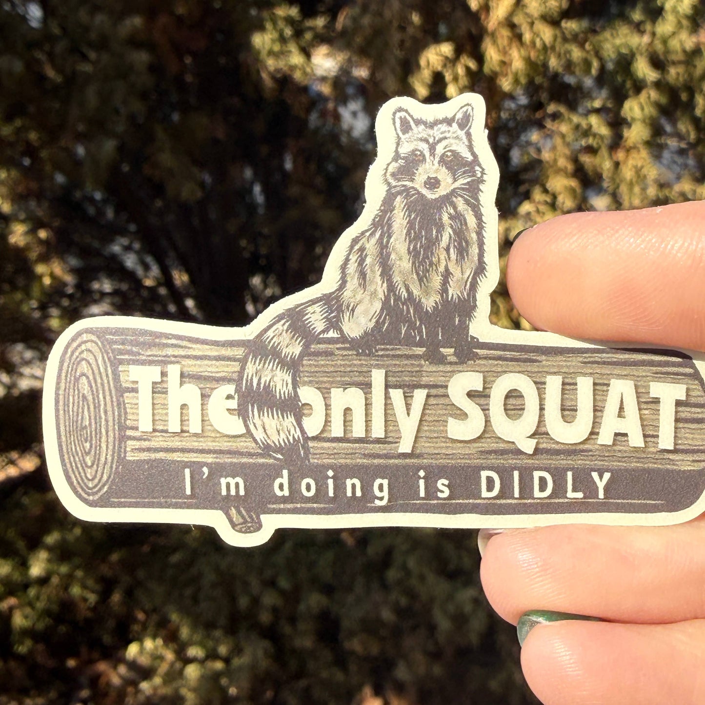 The Only Squat I’m Doing Is Didly Raccoon Sticker