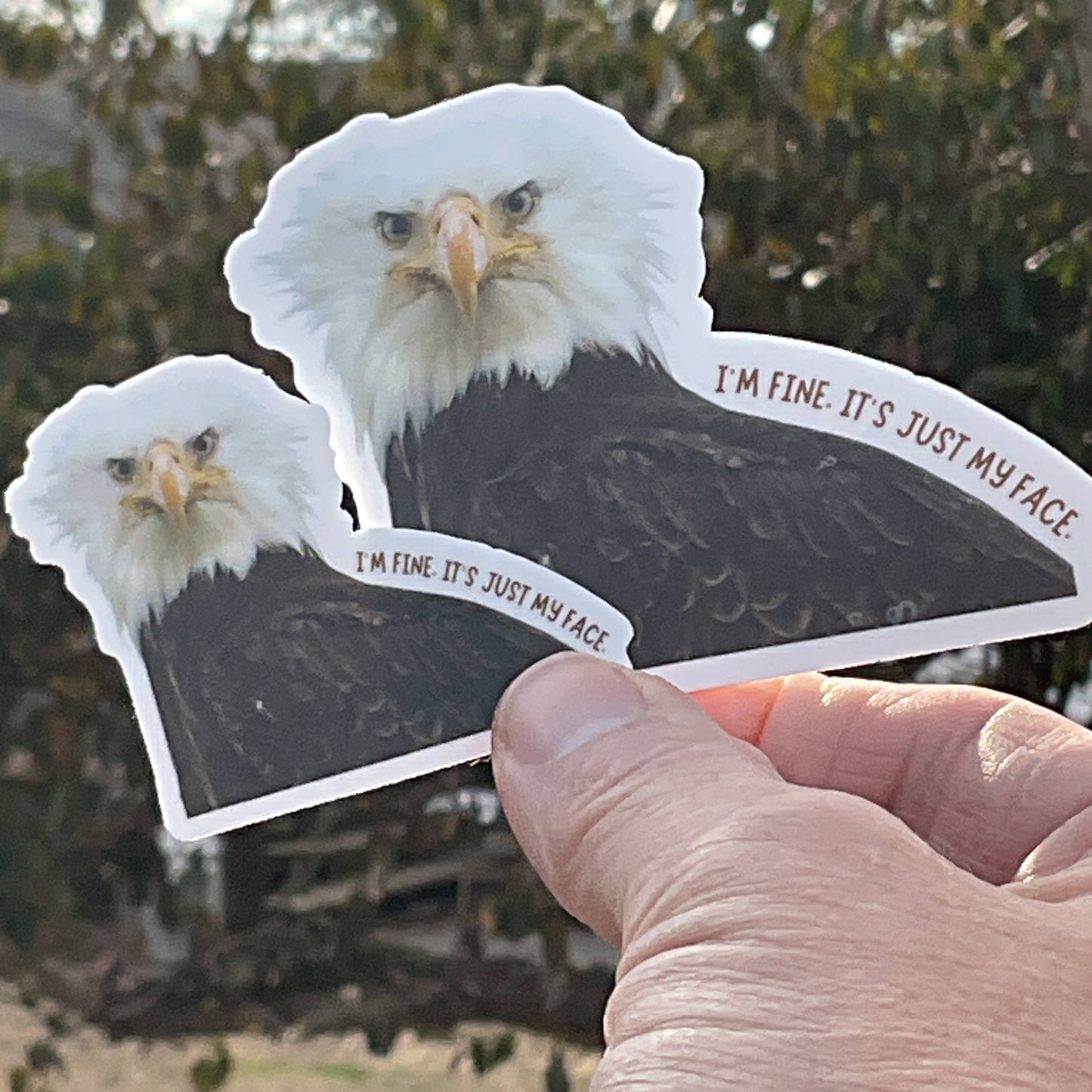 I'm Fine, It's Just My Face Eagle Funny 3" Vinyl Sticker