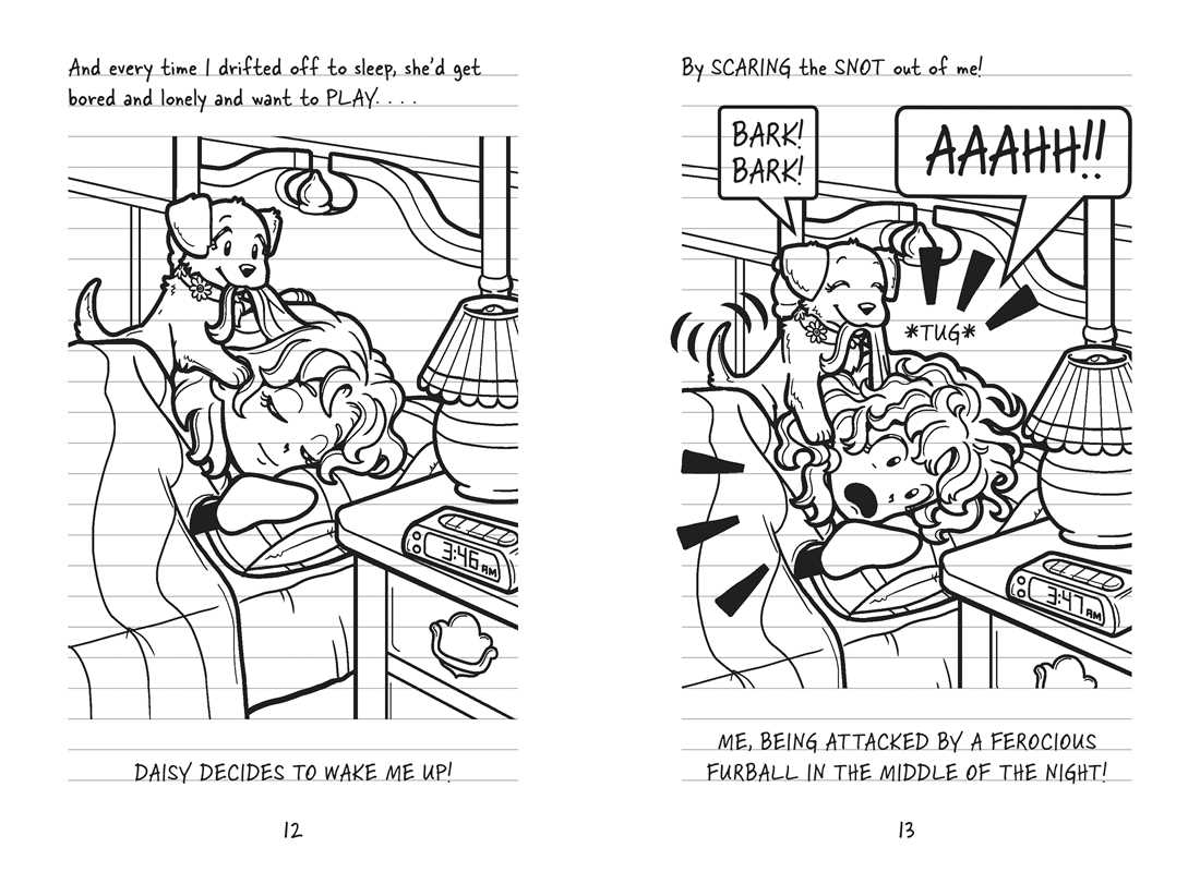 Dork Diaries 11