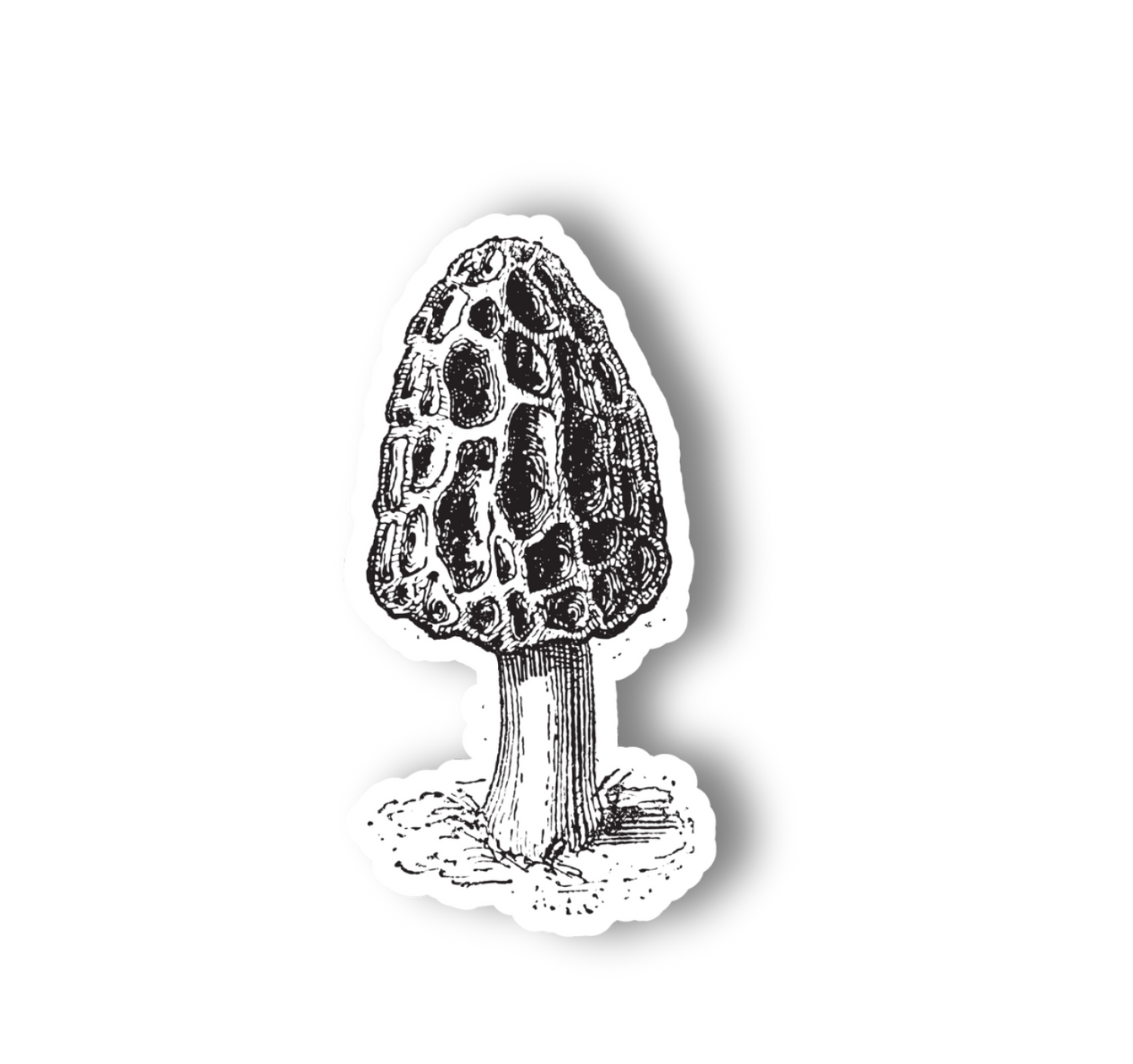Morel Mushroom Vinyl Sticker