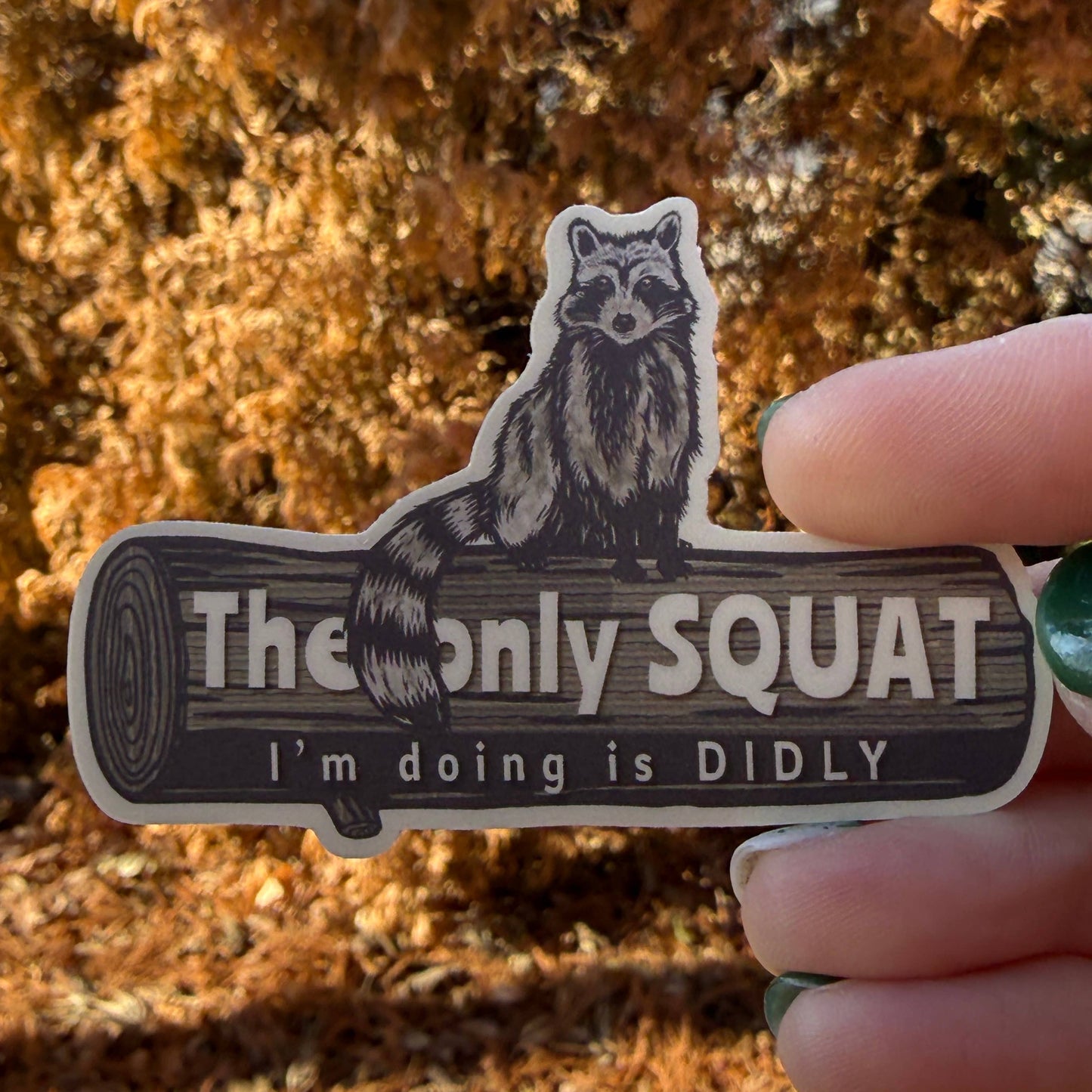 The Only Squat I’m Doing Is Didly Raccoon Sticker