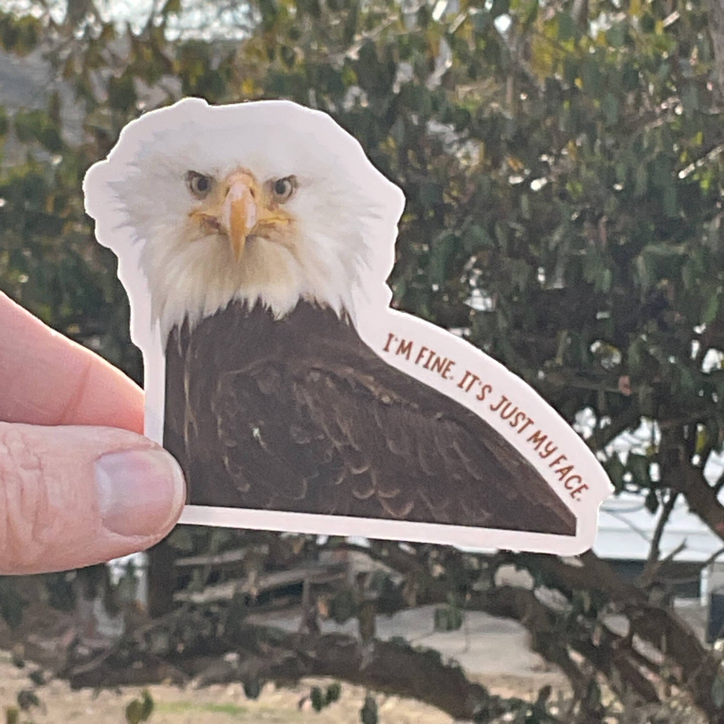 I'm Fine, It's Just My Face Eagle Funny 3" Vinyl Sticker
