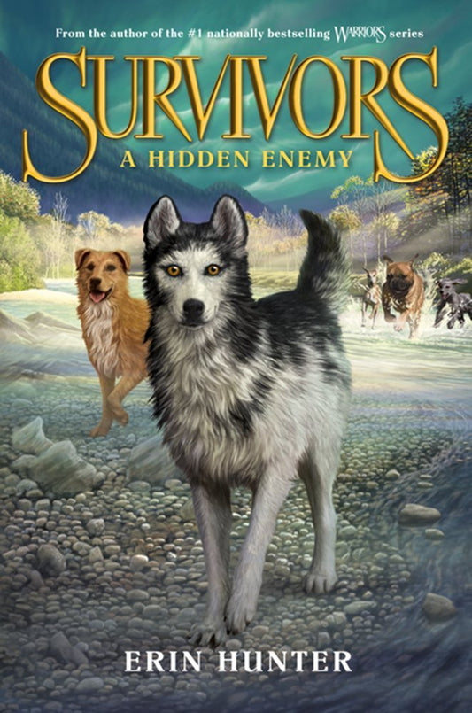 Survivors #2: A Hidden Enemy cover image