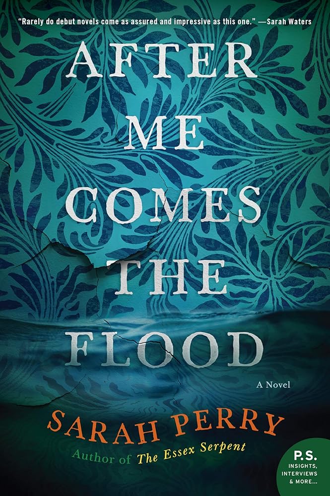 AFTER ME COMES FLOOD cover image
