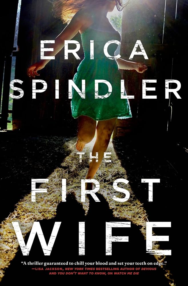 The First Wife: A Novel cover image