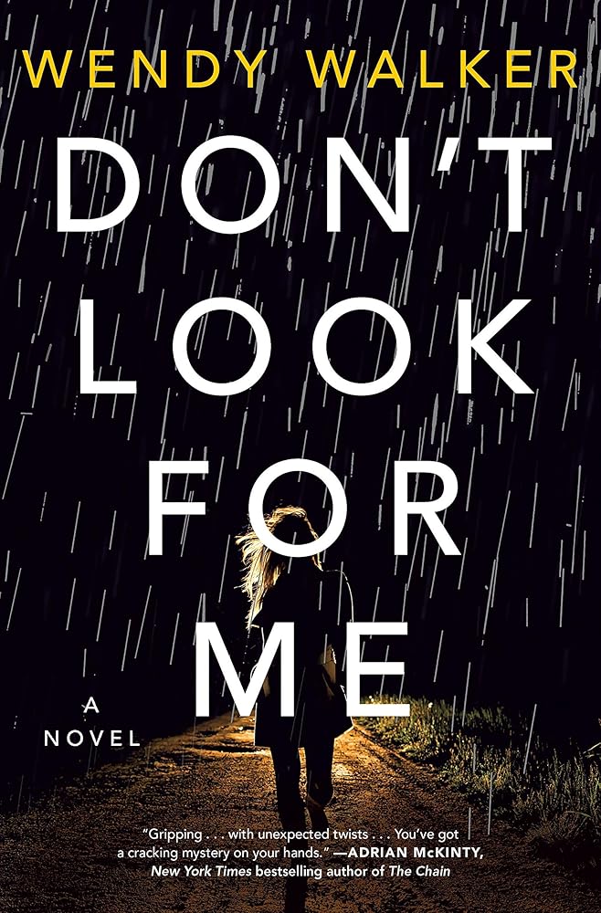 Don't Look for Me: A Novel cover image