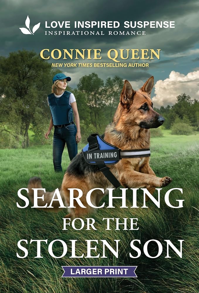 Searching for the Stolen Son (Thunder Ridge Justice) cover image