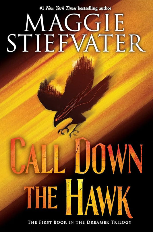 Call Down the Hawk (The Dreamer Trilogy, Book 1) (1) cover image