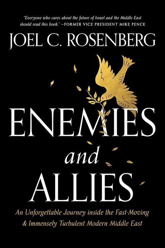 Enemies and Allies: An Unforgettable Journey inside the Fast-Moving & Immensely Turbulent Modern Middle East cover image