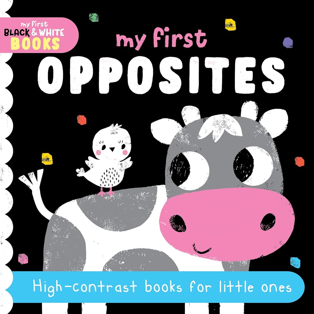 North Parade Publishing My First Opposites BB. cover image
