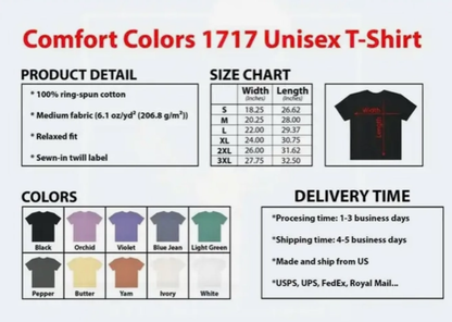 Comfort Colors Faux Patchwork USA Flag Shirt