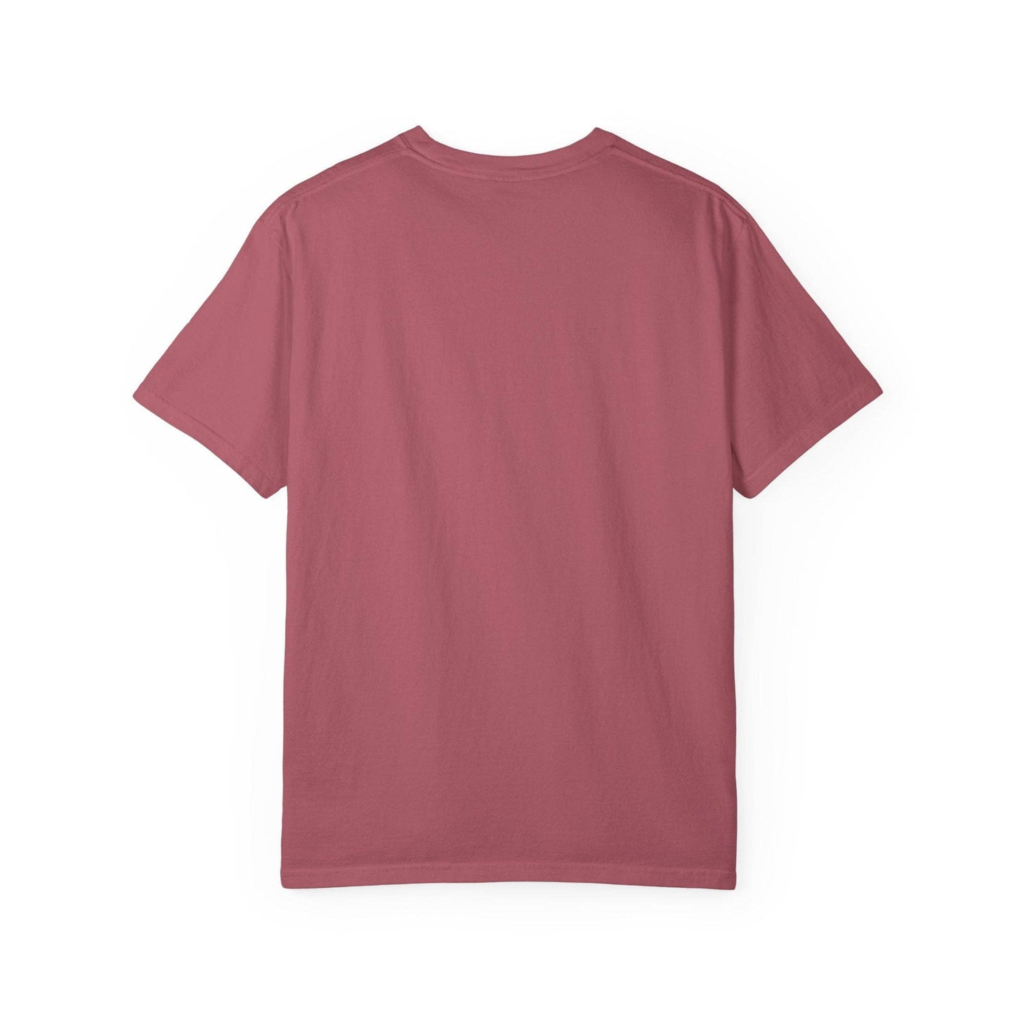 Dramione Edgy Bookish Tshirt, Fan Fic Reader Merch, Fantasy Book Lover Gift