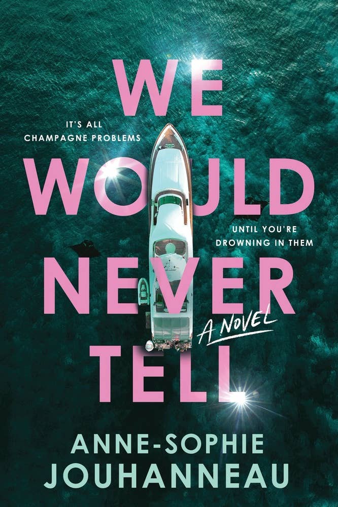 We Would Never Tell: A Novel