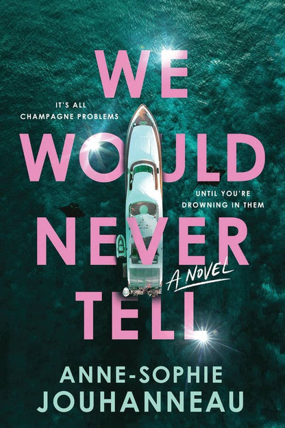 We Would Never Tell: A Novel