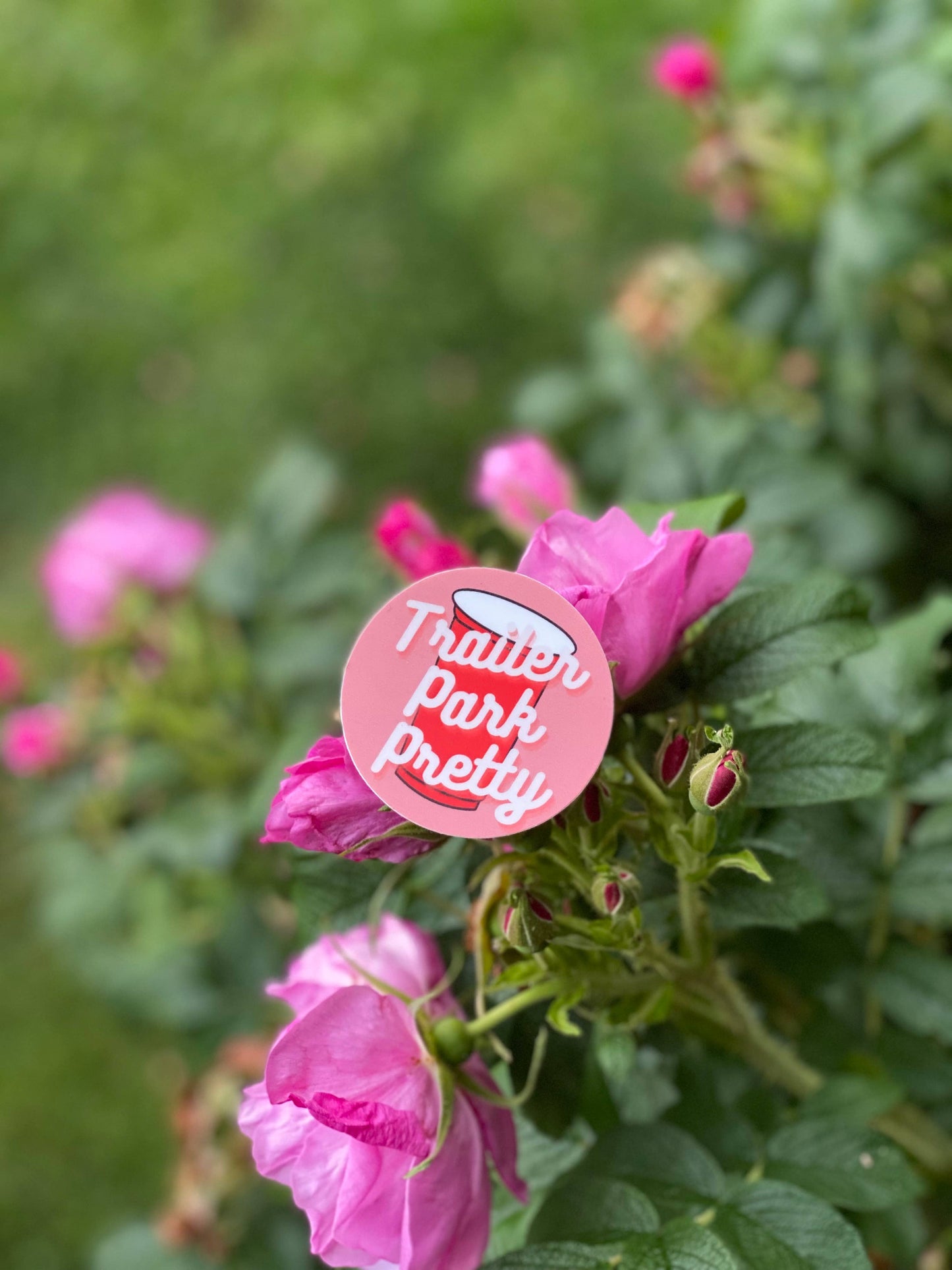 Trailer Park Pretty: Trailer Park Pride Sticker, Gift for Tr